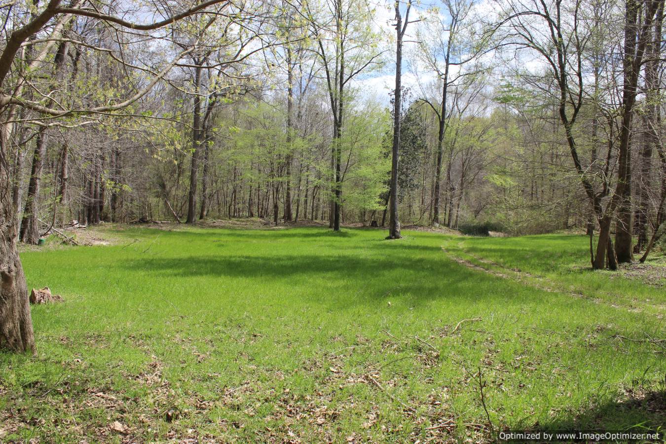 land-for-sale-in-yazoo-county-ms