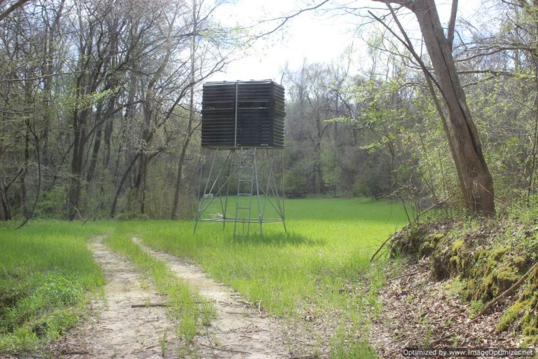 hunting-land-for-sale-in-yazoo-county-ms