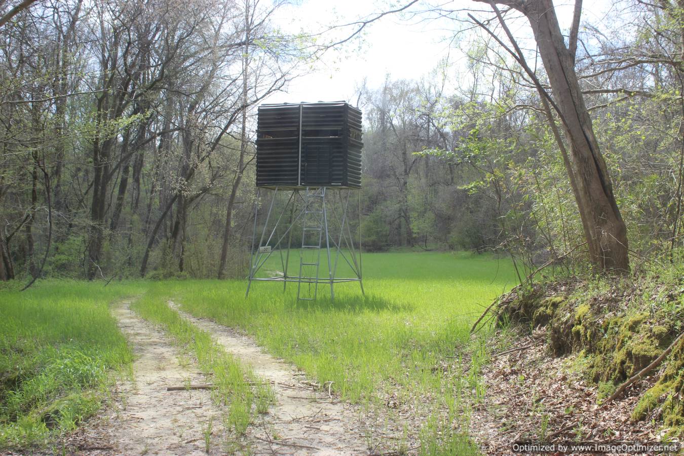 hunting-land-for-sale-in-yazoo-county-ms