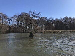 land-for-sale-in-louisiana