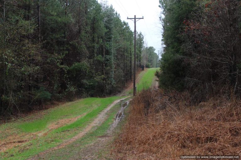 land-for-sale-in-copiah-county