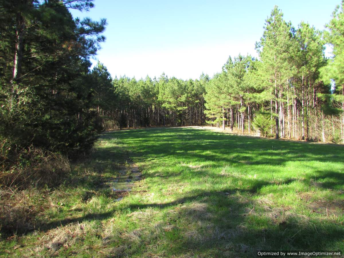 land-for-sale-in-madison-county-mississippi