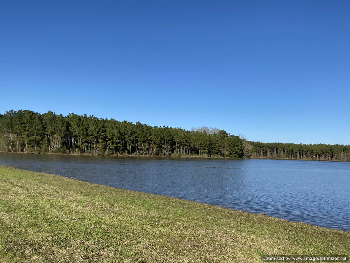 water-front-property-for-sale-madison-ms