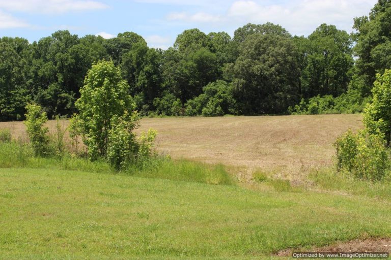 Land-For-Sale-Yazoo-County-MS