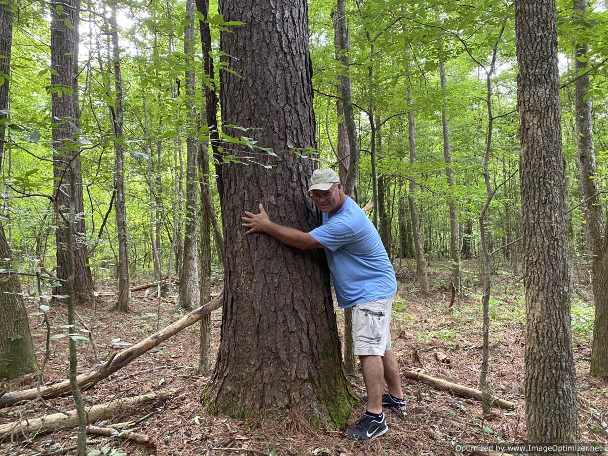 hunting-land-for-sale-in-copiah-county-ms