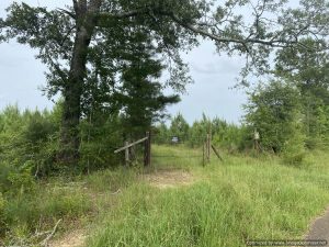 hunting-land-for-sale-franklin-county-ms