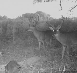 Equity-Share-For-sale-Hinds-County-MS