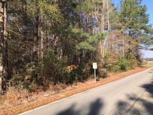 land-for-sale-canton-ms