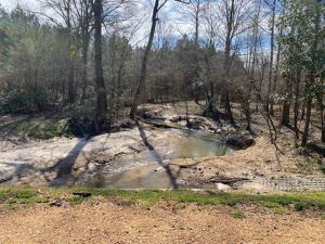 hunting-land-for-sale-in-lincoln-county-ms