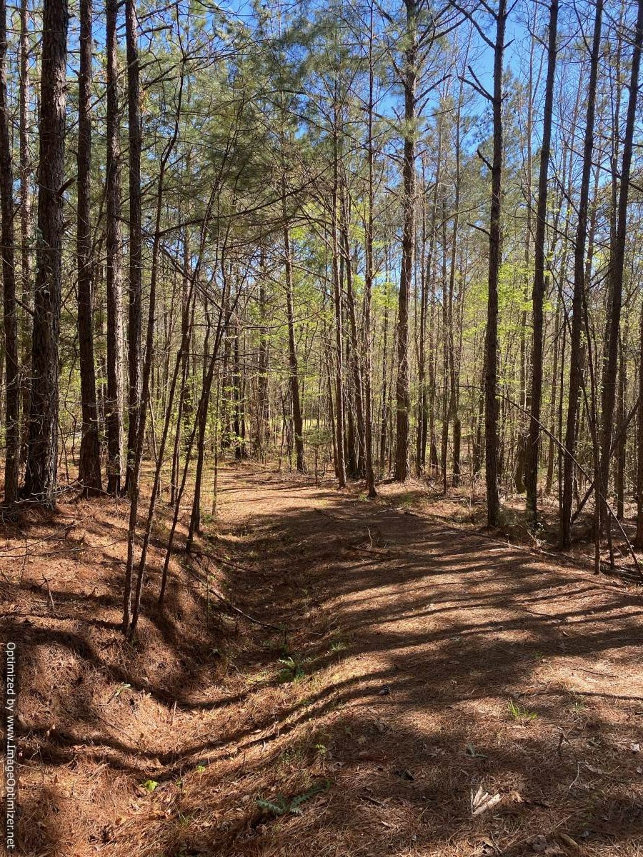 land-for-sale-attala-county-ms