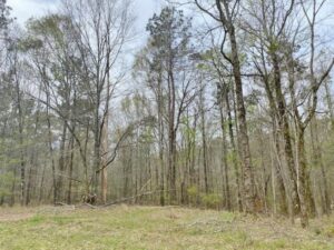 land-for-sale-in-hinds-county-ms