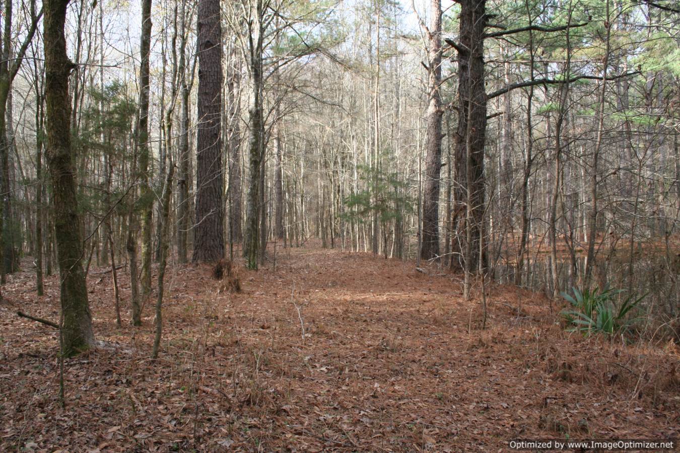 land-for-sale-madison-county-,ms