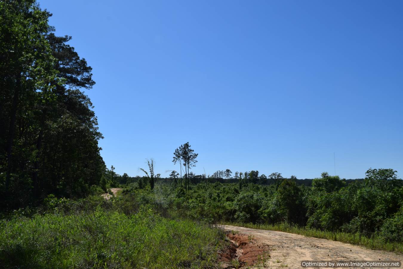 land-for-sale-scott-county-ms