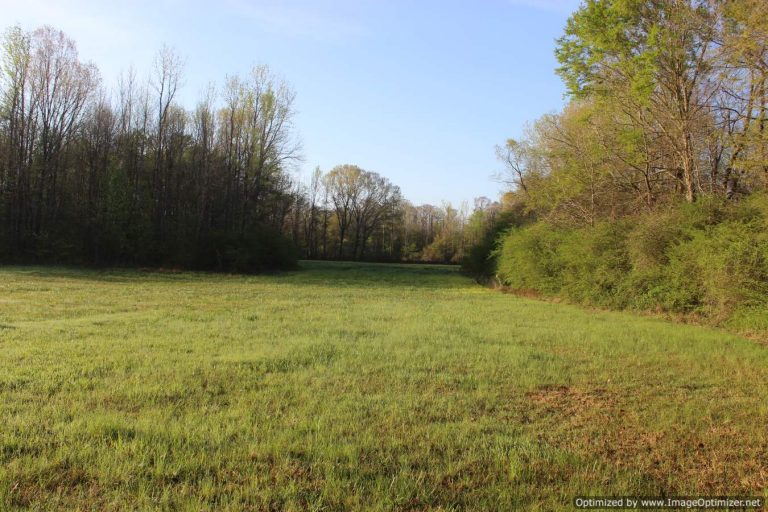land-for-sale-attala-county-ms