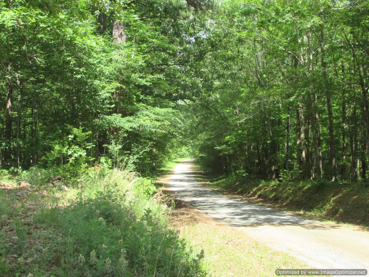 land-for-sale-madison-county-ms