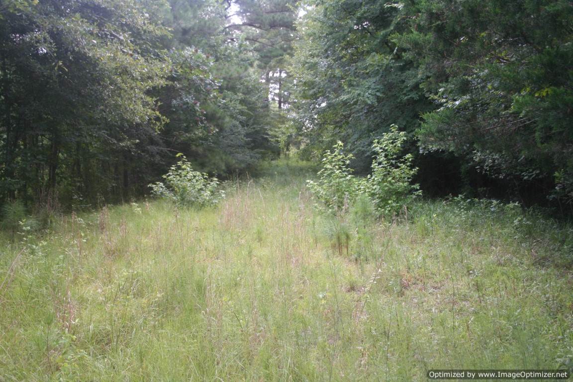 land-for-sale-rankin-county-ms
