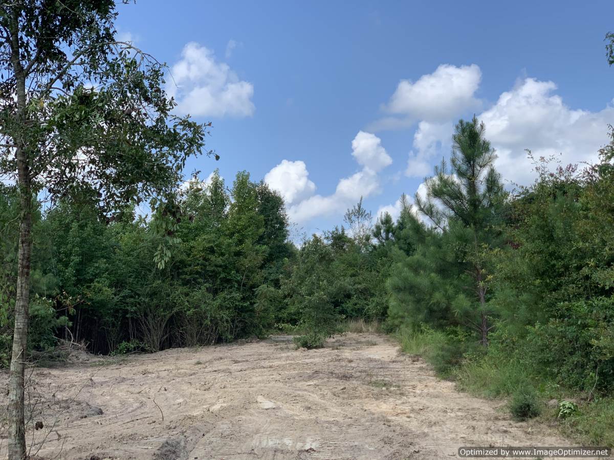 land-for-sale-in-scott-county-ms