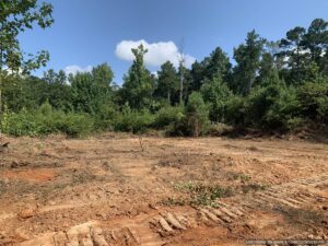 land-for-sale-in-scott-county-ms
