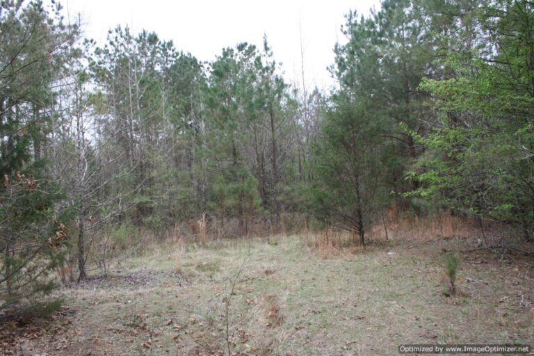 land-for-sale-in-yalobusha-county-ms