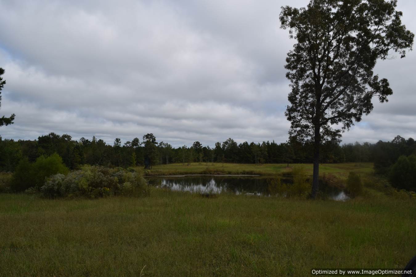 land-for-sale-in-madison-county-ms