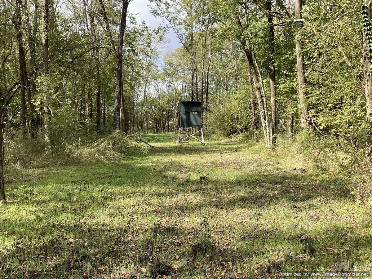 land-for-sale-in-Noxubee-county-ms