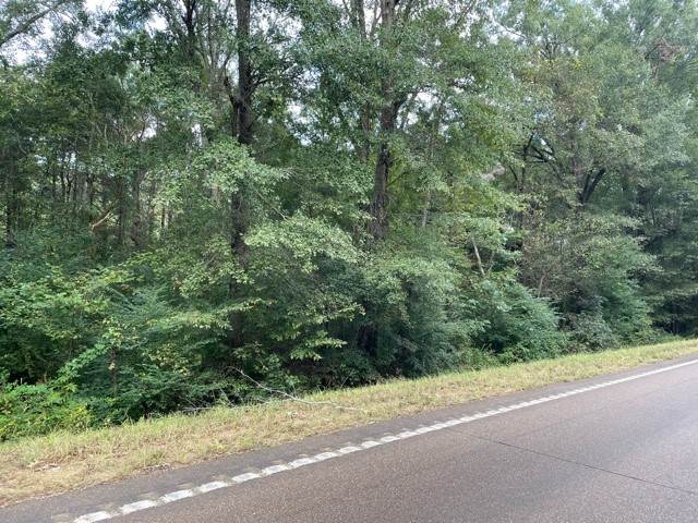 land-for-sale-in-madison-county-ms