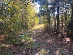 land-for-sale-in-attala-county-ms