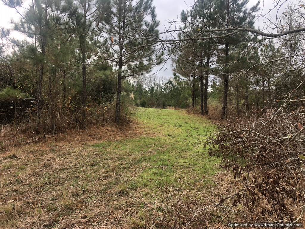 land-for-sale-in-madison-county-ms