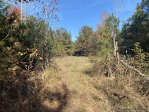 land-for-sale-in-holmes-county-ms
