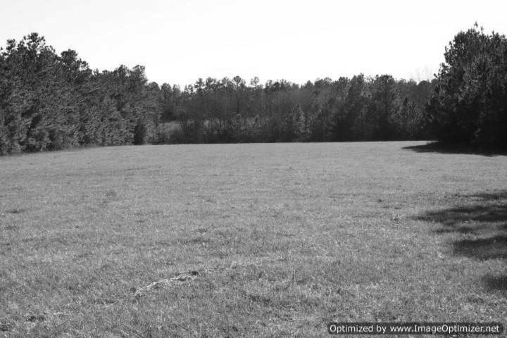 land-for-sale-in-jasper-county-ms