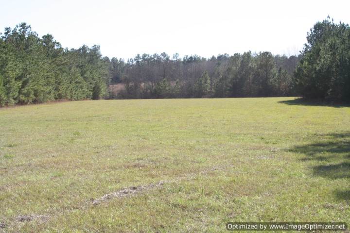 land-for-sale-in-jasper-county-ms