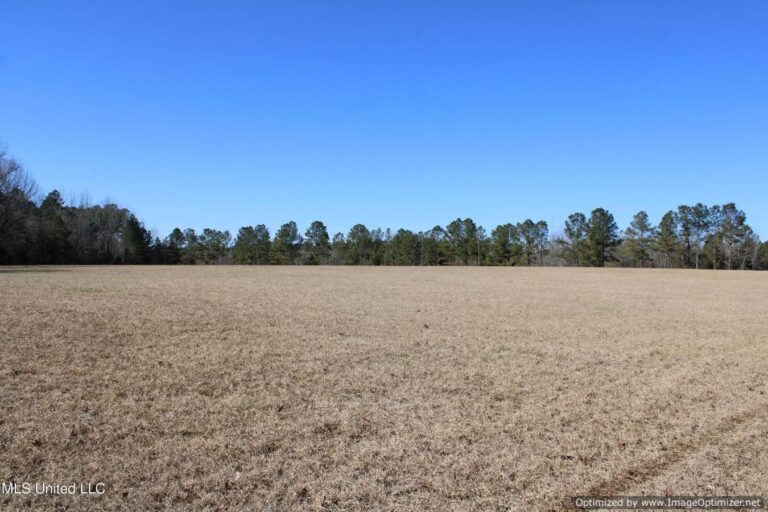 land-for-sale-in-webster-county-ms