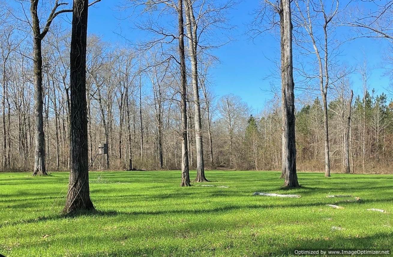 land-for-sale-noxubee-county-ms