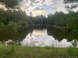 hunting-land-for-sale-copiah-county-ms