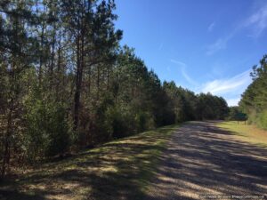 land-for-sale-lincoln-county-ms
