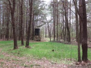 land-for-sale-mize-ms-smith-county-ms