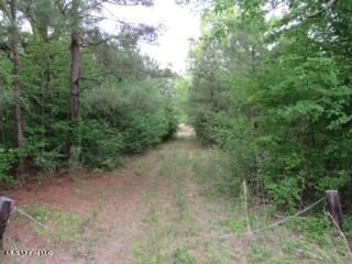 land-for-sale-in-attala-county-ms