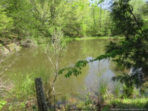 land-for-sale-in-holmes-county-ms
