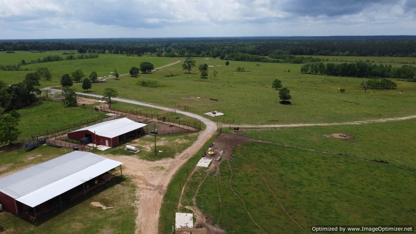 land-for-sale-pearl-river-county-ms