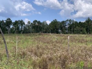 land-for-sale-Simpson-County-ms