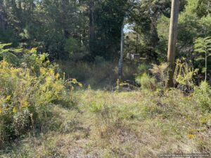 land-for-sale-hinds-county-ms