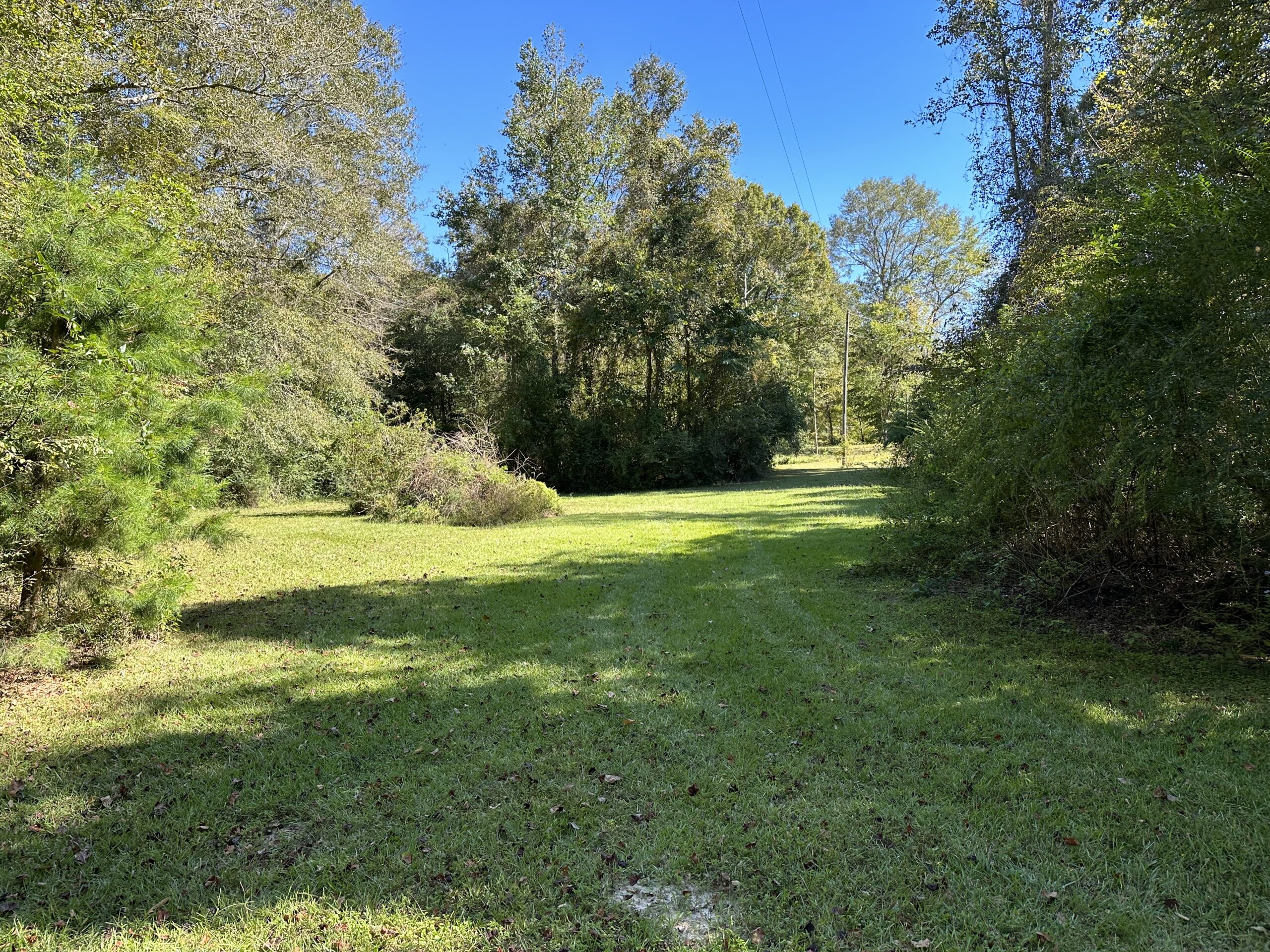 land-for-sale-pike-county-ms