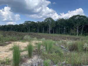 land-for-sale-simpson-county-ms