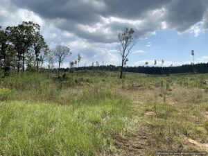 land-for-sale-simpson-county-ms