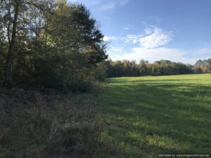 land-for-sale-in-lawrence-county-ms