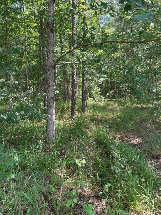 land-for-sale-copiah-county-ms