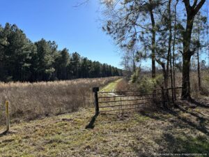 land-for-sale-pike-county-ms