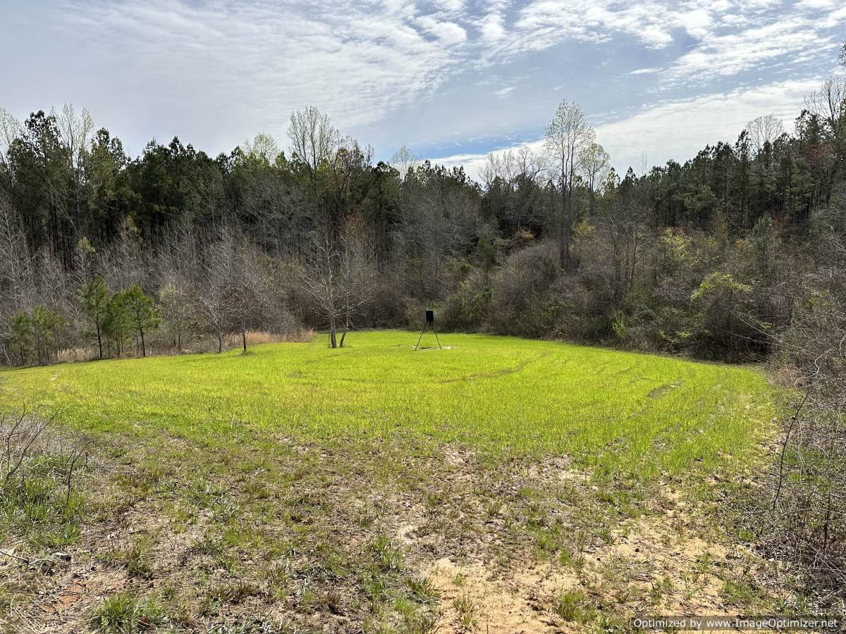 land-for-sale-attala-county-ms