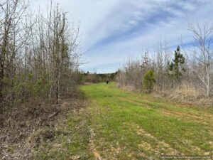 land-for-sale-attala-county-ms