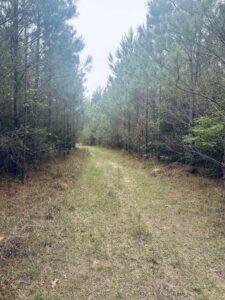 land-for-sale-lawrence-county-ms